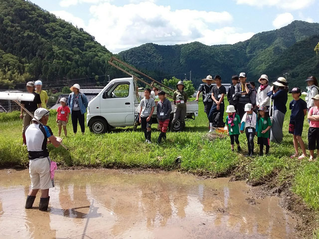 田植え