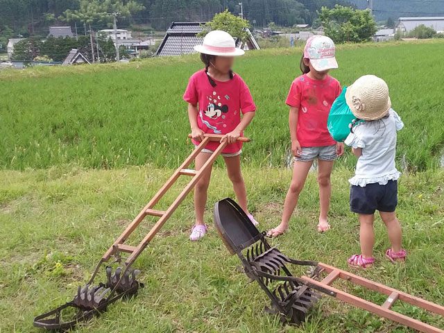 草取り（1回目）