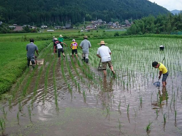 草取り2回目