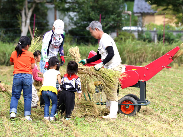 稲刈り・藁撒き作業