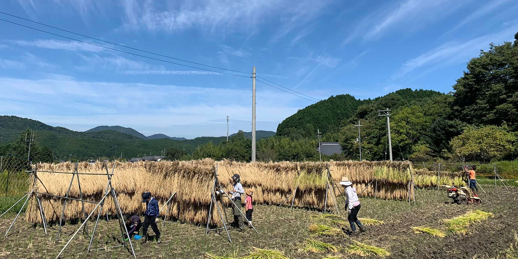 電建ライスクラブ